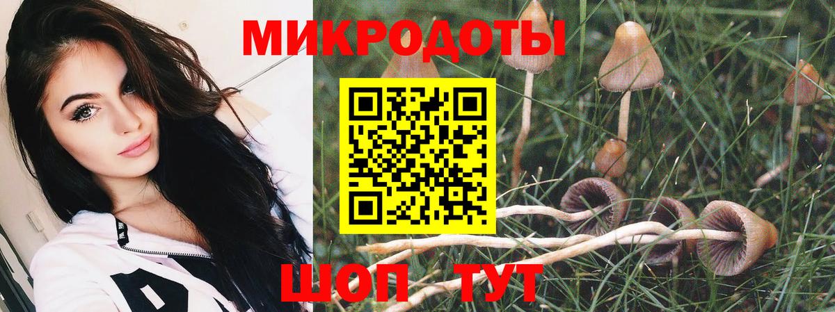 Галлюциногенные грибы мицелий  Вход с VPN  Ртищево 