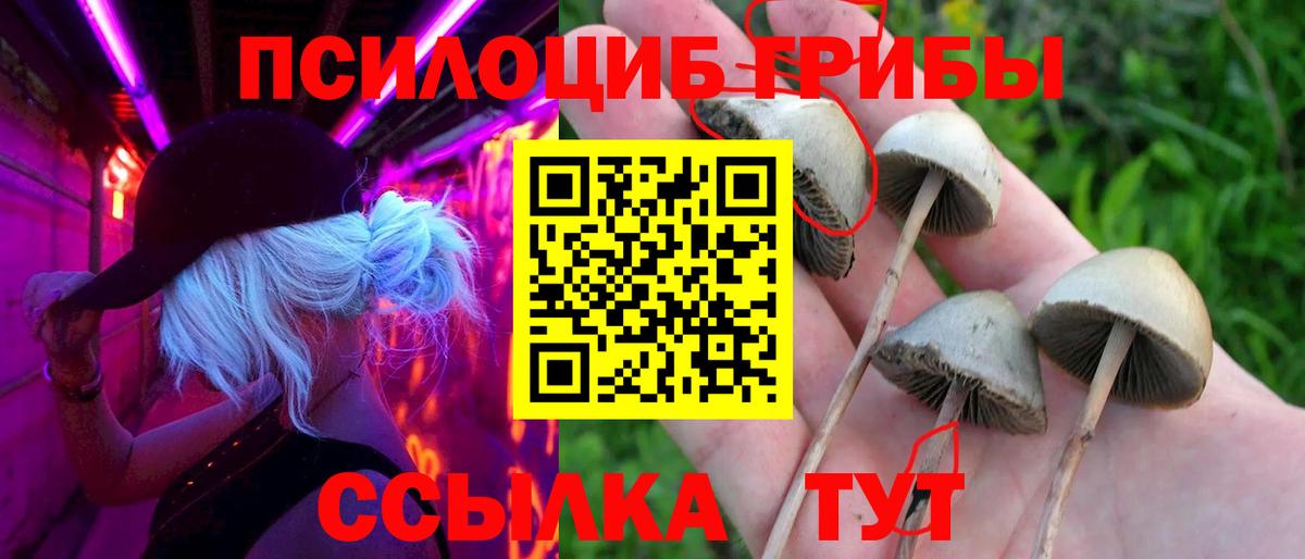Галлюциногенные грибы Magic Shrooms Ртищево