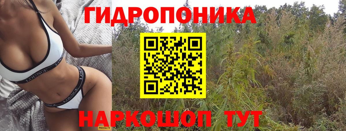 Конопля MAZAR  Бошки Шишки марихуана  Вход с VPN  МАРИХУАНА план  Ртищево 